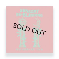 画像1: AURA SAFARI & JIMI TENOR/SENSORY REBLENDING