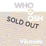 VIKMATIC & DANILO BRACA/WHOOSH EP