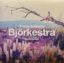 画像1: TRAVIS SULLIVAN'S BJORKESTRA/Hyperballad c/w Venus as a boy