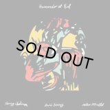 MATEO OTTONELLO & HENRY SOLOMON & DAVID BINNEY/BUSCANDO EL SOL