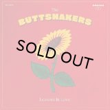 BUTTSHAKERS/LESSONS IN LOVE