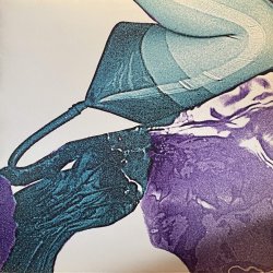 画像1: IN FLAGRANTI/GENITAL BLUE ROOM