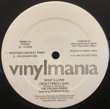 THE TROJAN HORSE/WHAT $ LOVE