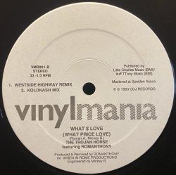 画像1: THE TROJAN HORSE/WHAT $ LOVE