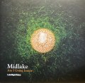 MIDLAKE/AM I GOING INSANE