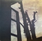 O.N.O/SIX MONTH AT OUTSIDE STAIRS