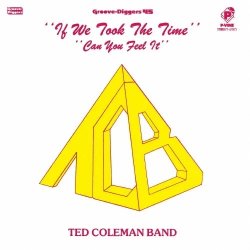 画像1: TED COLEMAN BAND/IF WE TOOK THE TIME
