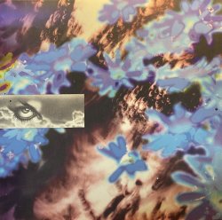 画像1: ZARA/SOARING ORA