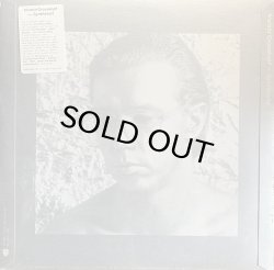 画像1: HARALD GROSSKOPF/SYNTHESIST