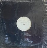 STEADY & CO./ONLY HOLY STORY