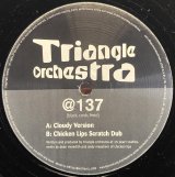 TRIANGLE ORCHESTRA/@137