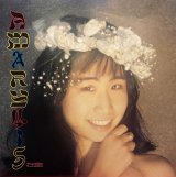 アマリリス - おとうさん