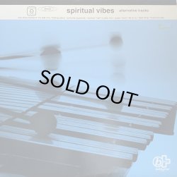 画像1: SPIRITUAL VIBES - ALTERNATIVE TRACKS