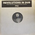 ASHLEY BEEDLE/REVOLUTIONS IN DUB