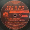 V.A. - DEEP HOUSE VS ACID JAZZ VOLUME ONE