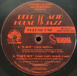 画像1: V.A. - DEEP HOUSE VS ACID JAZZ VOLUME ONE
