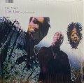 NEW FLESH - LIE LOW