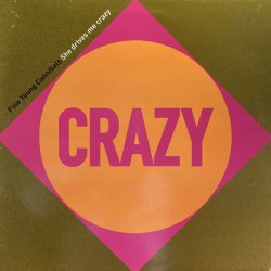 画像1: FINE YOUNG CANNIBALS - SHE DRIVES ME CRAZY