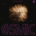 SEAN WOLCOTT - COSMIC CONSCIOUSNESS