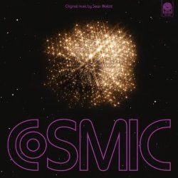 画像1: SEAN WOLCOTT - COSMIC CONSCIOUSNESS