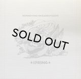 BEYOND THE WIZARDS SLEEVE - SPRING