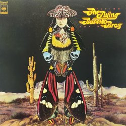 画像1: THE FLYING BURRITO BROS - FLYING AGAIN