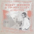 細野晴臣 - HARRY HOSONO & TIN PAN ALLEY IN CHINA TOWN