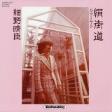 HARUOMI HOSONO (細野晴臣) - 絹街道 / ハニー・ムーン