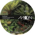 FLATPLAY - MYSTERY OF THE BELLY BUTTON