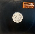 SHAGGY - IN THE SUMMERTIME