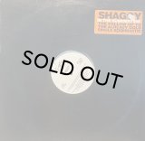 SHAGGY - IN THE SUMMERTIME