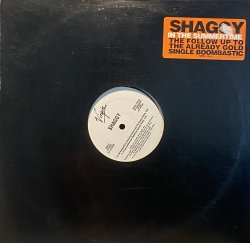 画像1: SHAGGY - IN THE SUMMERTIME