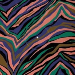 画像1: EGO-WRAPPIN' - RIVIERA
