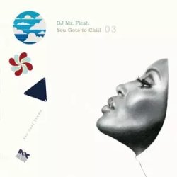画像1: DJ MR.FLESH - YOU GOTS TO CHILL 03 【CD】