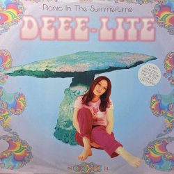 画像1: DEEE-LITE - PICNIC IN THE SUMMERTIME