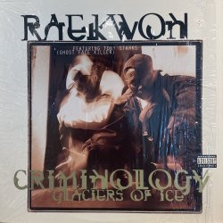 画像1: RAEKWON  - CRIMINOLOGY
