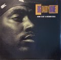 BIG DADDY KANE - HOW U GET A RECORD DEAL