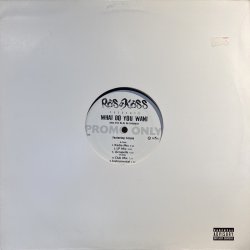 画像1: RAS KASS - WHAT DO YOU WANT
