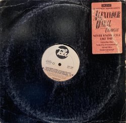 画像1: ALEXANDER O'NEAL - NEVER KNEW LOVE LIKE THIS