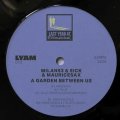 MILAN93 & 9ICK & MAURICESAX - GARDEN BETWEEN US
