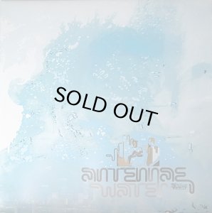 画像1: 【SALE】Antennae / Water (1)