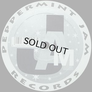 画像2: 【SALE】B.M.R with LEVEL 42/STARCHILD (2)