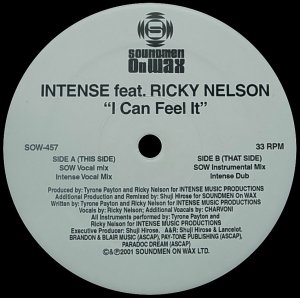 画像1: 【SALE】INTENSE feat. RICKY NELSON/I CAN FEEL IT (1)