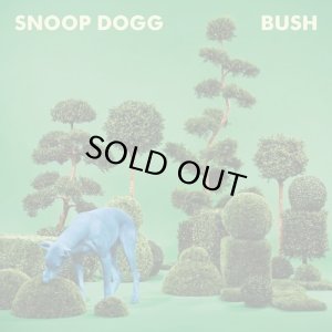 画像1: SNOOP DOGG/BUSH (1)