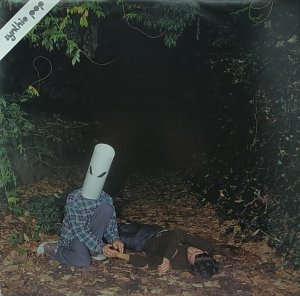 画像1: 【SALE】GABE CATANZARO/SYNTHIE POP DELIGHTS (1)