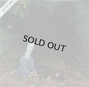 画像1: 【SALE】GABE CATANZARO/SYNTHIE POP DELIGHTS (1)