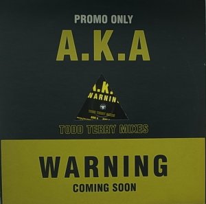 画像1: A.K.A./WARNING TODD TERRY MIXES (1)