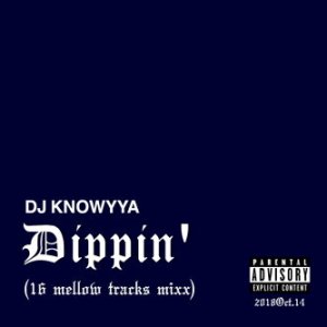 画像1: DJ KNOWYYA/DIPPIN' (16 mellow traks mixx) (1)