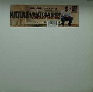 画像1: NATURE/WHAT CHA KNOW (1)