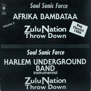 画像1: AFRICA BAMBAATAA/ZULU NATION THROW DOWN (1)